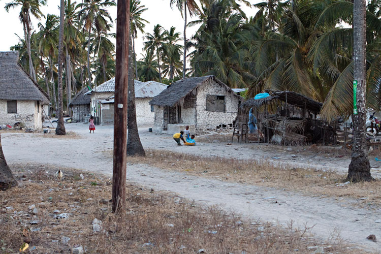 NUNGWI TOUR