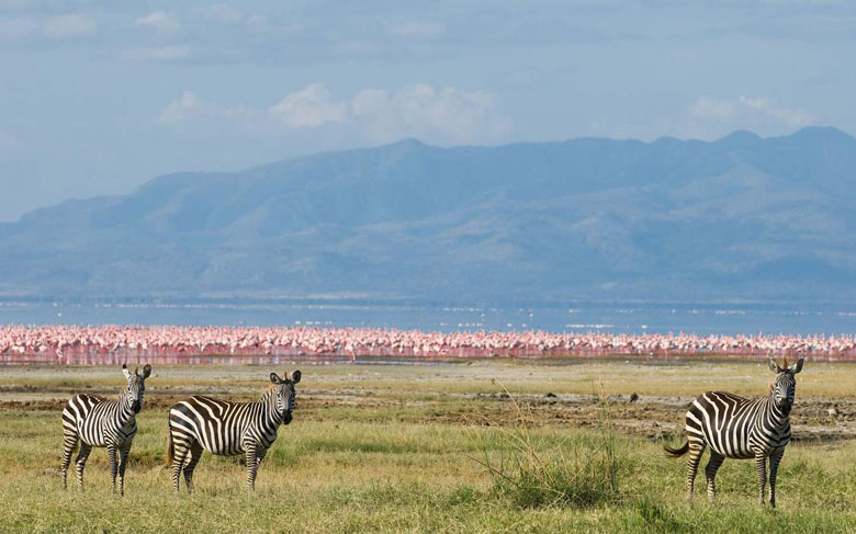 3 Day 2 Nights Last Minute Fly in Luxury Safar to Ngorongoro Crater