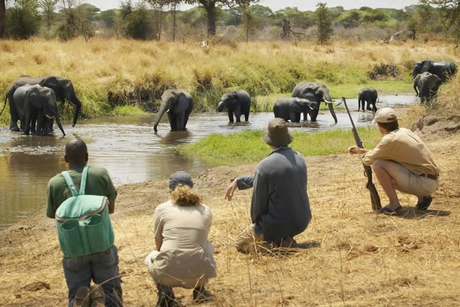 Mikumi National Park